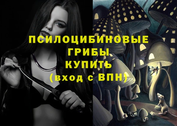 стафф Щучье