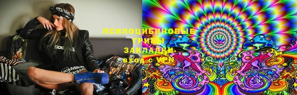 стафф Щучье