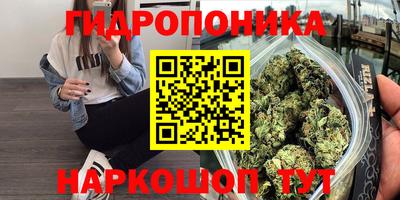 прущая мука Кингисепп