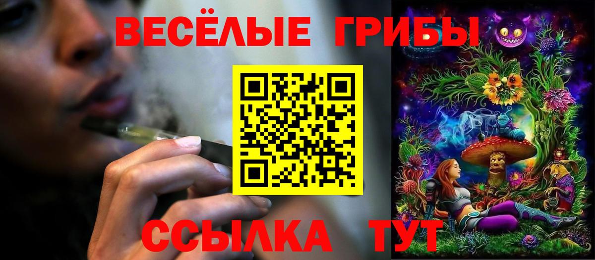 Псилоцибиновые грибы мицелий  Вход с VPN  Псилоцибиновые грибы MAGIC MUSHROOMS  как найти закладки  Элиста 