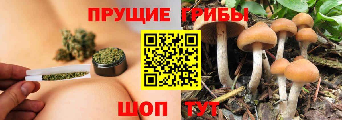 Псилоцибиновые грибы GOLDEN TEACHER Элиста